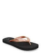 Beach Sandal Monologo Tpu Black Calvin Klein