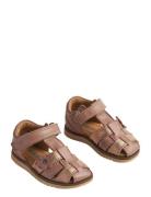 Sandal Sky Flower Pink Wheat