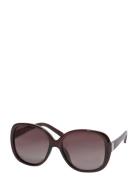 Parker Over D Retro Sunglasses Brown Brown Pilgrim