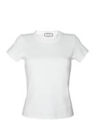 Fallon White Andiata
