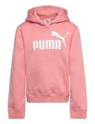 Ess No. 1 Logo Hoodie Fl G Pink PUMA