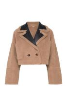 Sambino Brown Munthe