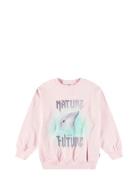 Monti Pink Molo