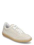 Vanda White Pavement