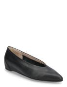 Triana Black Wonders