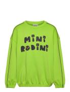 Mini Rodini Cats Sp Sweatshirt Green Mini Rodini