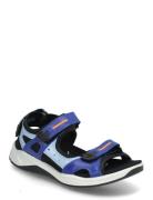 X-Trinsic K Blue ECCO