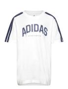 J C Colleg Tee White Adidas Sportswear