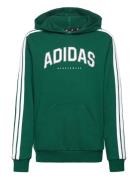 J C Colleg Hd Green Adidas Sportswear