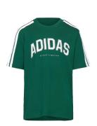 J C Colleg Tee Green Adidas Sportswear