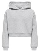 Kogsweat L/S Hoodie Short Swt Noos Grey Kids Only