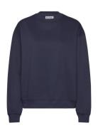 Standard Sweatshirt Navy Weekday