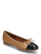 Ballerina Brown Billi Bi