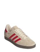 Gazelle Beige Adidas Originals