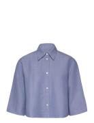 Corins Blue Tiger Of Sweden