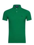 Basic Mesh-Ssl-Knt Green Polo Ralph Lauren