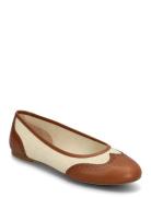Jayna Wingtip Ballet Flat Brown Lauren Ralph Lauren
