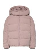 Hood Puffer Coat Pink Mango