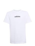 J Lin Tee 160 White Adidas Sportswear