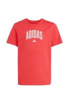 J Colleg T Red Adidas Sportswear