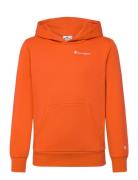 Hooded Sweatshirt Orange Champion