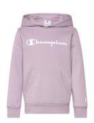 Hooded Sweatshirt Pink Champion
