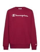 Crewneck Sweatshirt Red Champion