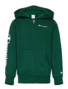 Hooded Full Zip Sweatshirt Green Champion