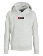 Jjpan Sweat Hood Jnr Grey Jack & J S