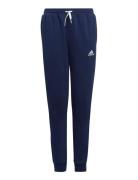 Ent22 Sw Pnty Navy Adidas Performance