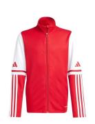 Sq25 Tr Jkt Y Red Adidas Performance