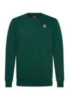 Jerry Reg Cw Cot Pe Vin M Sw Green VINSON