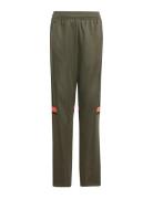 Sq25 Tr Pnt Y Khaki Adidas Performance