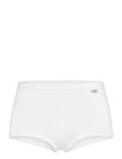 Women's Bamboo Legend Boxer White Frank Dandy