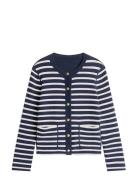 Co Jersey Reversible Ls Cardi Navy Tommy Hilfiger