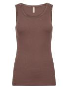 Sc-Ryan Brown Soyaconcept