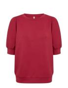 Sc-Banu Red Soyaconcept