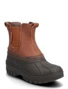 Bisgaard Blake Brown Bisgaard