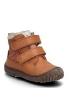 Bisgaard Helton Tex Brown Bisgaard