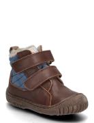 Bisgaard Helton Tex Brown Bisgaard