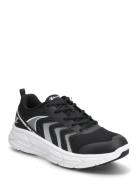 Fx Rt Low Cut Shoe Black Champion