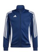 Tiro24 Trjkty Blue Adidas Performance