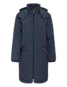 Crarwen Jacket W. Hood Navy Cream