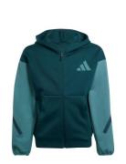 J Z.n.e.fz Cb Blue Adidas Sportswear