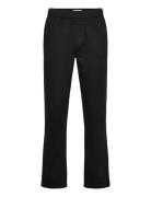 Sdliam Elas. Black Solid