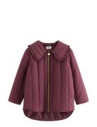 Jacket Warm Padded With Collar Purple Lindex