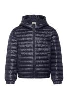 Shiny Light Padded Jacket Navy GANT