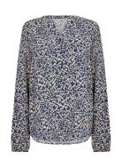 Sc-Van Blue Soyaconcept