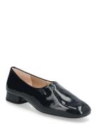 Cuntisver Black UNISA