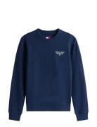 Tjw Reg Ess Logo 1 Crew Ext Navy Tommy Jeans